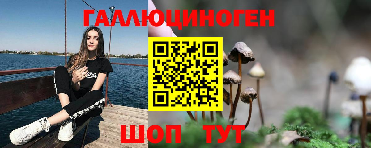 Майкоп  купить наркотики сайты  Вход с VPN  Псилоцибиновые грибы мицелий  Псилоцибиновые грибы мицелий 